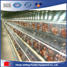 Quail Cage Laying Hens Chicken Cage Automatic Raising Equipment